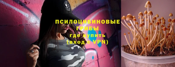 ГАЛЛЮЦИНОГЕННЫЕ ГРИБЫ Заводоуковск