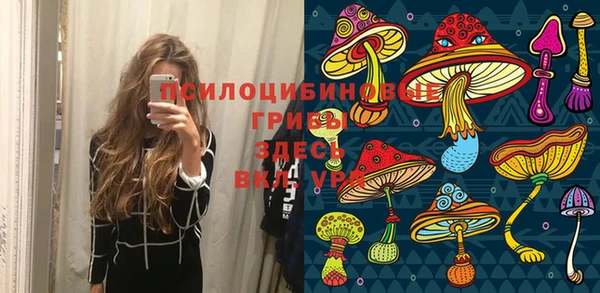 ГАЛЛЮЦИНОГЕННЫЕ ГРИБЫ Заводоуковск