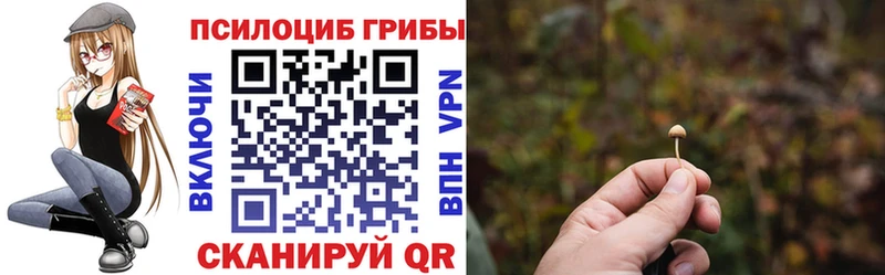 Купить где  Заполярный  Галлюциногенные грибы Magic Shrooms 